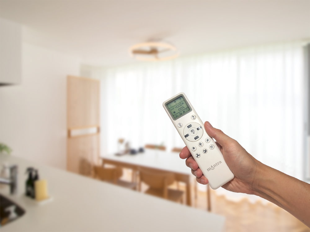 リモコンで操作するシーリングファン ライト