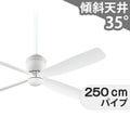 WF813 + WF736 オーデリック製シーリングファン メイン画像
