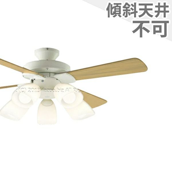 000000000249-01.jpg?size=m&w=