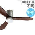 JE-CF004M SV 阪和製シーリングファンライト メイン画像