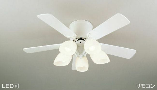 000000002026-01.jpg?size=org&t