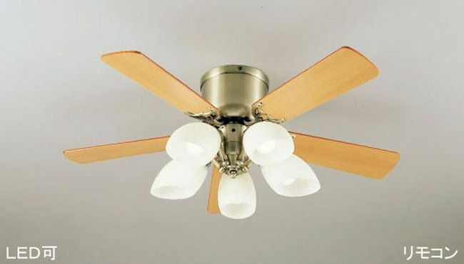 000000002029-01.jpg?size=org&t