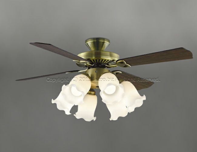 000000002087-01.jpg?size=org&t