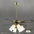 AM40384E + AA40379L + AEE590128 + AE40392E コイズミ製シーリングファンライト【生産終了品】 メイン画像