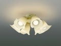 AA41905L / AA41905L(N) コイズミ製シーリングファンライト【生産終了品】 メイン画像