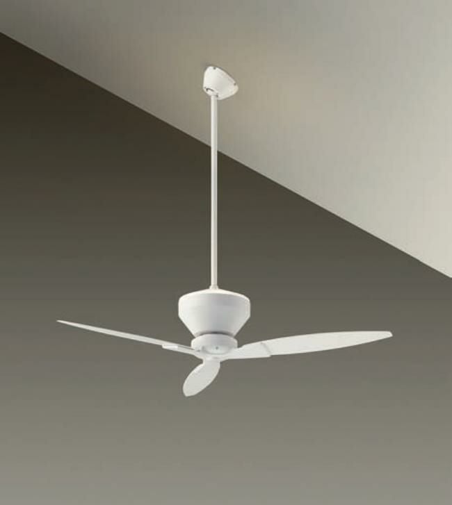 ダイコー製シーリングファンライト 000000002216-01.jpg?size=org&t