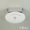 OA076220 オーデリック製シーリングファン【生産終了品】 メイン画像
