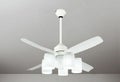 WF492 + WF493L / WF493N + WF591 オーデリック製シーリングファンライト【生産終了品】 メイン画像