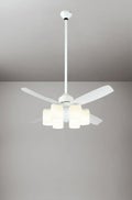 WF492 + WF494LD / WF494ND + WF593 オーデリック製シーリングファンライト【生産終了品】 メイン画像