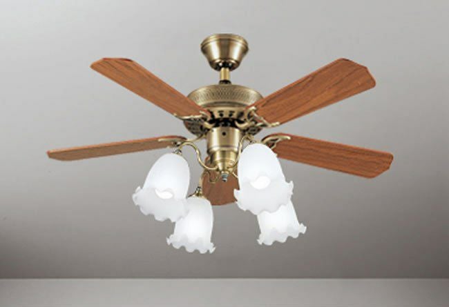 000000003529-01.jpg?size=m&w=