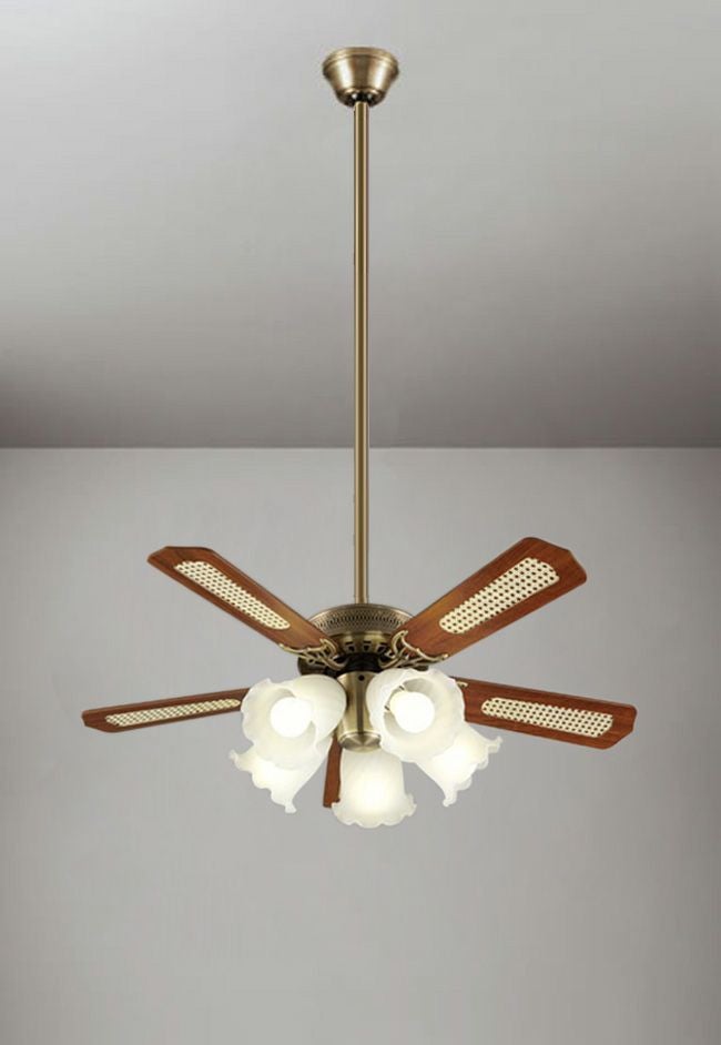 000000003636-01.jpg?size=org&t