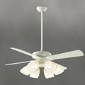 AEE695071 + AA40373L + AEE590057 コイズミ製シーリングファンライト【生産終了品】 メイン画像