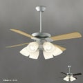 AEE695073 + AA40375L + AE40388E + AE40393E コイズミ製シーリングファンライト【生産終了品】 メイン画像
