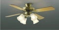 AEE695074 + AAN690116 コイズミ製シーリングファンライト【生産終了品】 メイン画像