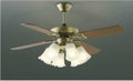 AEE695075 + AAN690115 + LED133WW / LED133CWF コイズミ製シーリングファンライト【生産終了品】 メイン画像