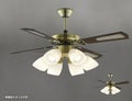 AM40384E + AA40377L + AE40392E コイズミ製シーリングファンライト【生産終了品】 メイン画像