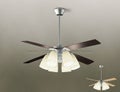 DP-38029 + DP-37978 + DP-37589 ダイコー製シーリングファンライト【生産終了品】 メイン画像
