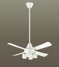 XS90165/SP7090 + SPL5465LE1 + SPK017 パナソニック製シーリングファンライト【生産終了品】 メイン画像