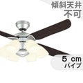 WF802P2 + WF807PR オーデリック製シーリングファンライト メイン画像
