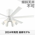 WF237P1 + WF277PR1 オーデリック製シーリングファンライト メイン画像