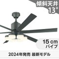 WF249P1 + WF259PR オーデリック製シーリングファンライト メイン画像