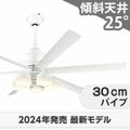 WF239P1 + WF258PR + WF731P1 オーデリック製シーリングファンライト メイン画像