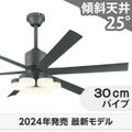 WF249P1 + WF259PR + WF737P1 オーデリック製シーリングファンライト メイン画像