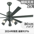 WF249P1 + WF280PR + WF737P1 オーデリック製シーリングファンライト メイン画像