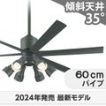 WF249P1 + WF279PR + WF738P1 オーデリック製シーリングファンライト メイン画像