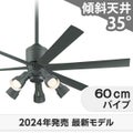 WF249P1 + WF280PR + WF738P1 オーデリック製シーリングファンライト メイン画像
