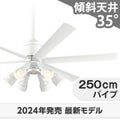 WF239P1 + WF277PR1 + WF736P1 オーデリック製シーリングファンライト メイン画像