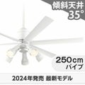 WF239P1 + WF278PR1 + WF736P1 オーデリック製シーリングファンライト メイン画像