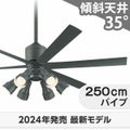WF249P1 + WF279PR + WF742P1 オーデリック製シーリングファンライト メイン画像
