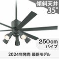 WF249P1 + WF280PR + WF742P1 オーデリック製シーリングファンライト メイン画像