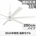 WF239P1 + WF736P1 オーデリック製シーリングファン メイン画像