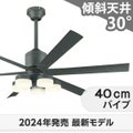 WF249P1 + WF260PR + WF738P1C オーデリック製シーリングファンライト メイン画像