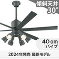 WF249P1 + WF279PR + WF738P1C オーデリック製シーリングファンライト メイン画像