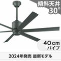 WF249P1 + WF738P1C オーデリック製シーリングファン メイン画像