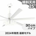 WF239P1 + WF287PR + WF731P1 オーデリック製シーリングファンライト メイン画像