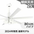 WF239P1 + WF288PR + WF731P1 オーデリック製シーリングファンライト メイン画像