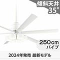WF239P1 + WF287PR + WF736P1 オーデリック製シーリングファンライト メイン画像
