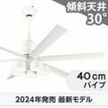 WF239P1 + WF288PR + WF732P1C オーデリック製シーリングファンライト メイン画像