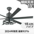 WF249P1 + WF289PR オーデリック製シーリングファンライト メイン画像