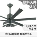 WF249P1 + WF289PR + WF737P1 オーデリック製シーリングファンライト メイン画像