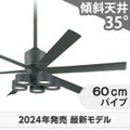 WF249P1 + WF290PR + WF738P1 オーデリック製シーリングファンライト メイン画像