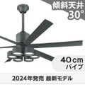 WF249P1 + WF289PR + WF738P1C オーデリック製シーリングファンライト メイン画像