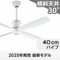 WF813P2 + WF732P1C オーデリック製シーリングファン メイン画像