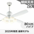 WF813P2 + WF297LR / WF297NR / WF297WR + WF731P1 オーデリック製シーリングファンライト メイン画像