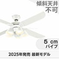 WF054 + WF227LR / WF227NR / WF227WR オーデリック製シーリングファンライト メイン画像