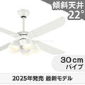 WF054 + WF227LR / WF227NR / WF227WR + WF973P1 オーデリック製シーリングファンライト メイン画像